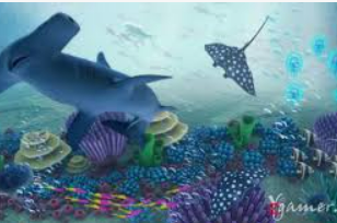 新kiyaun网页版登录2024最新版