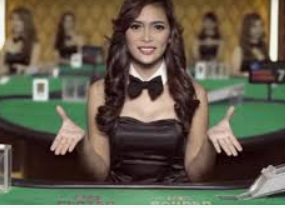 新kiyaun网页版登录2024最新版